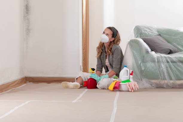 Reliable Mold Inspection contractor in Dunkirk, NY by WQB Mold Removal